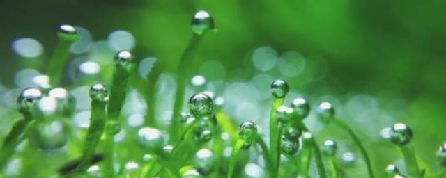 立春雨水到早起晚睡觉的意思 指的是什么