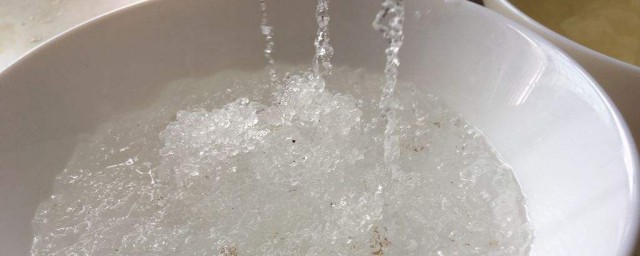 雪燕怎样泡发 雪燕的泡发技巧简介