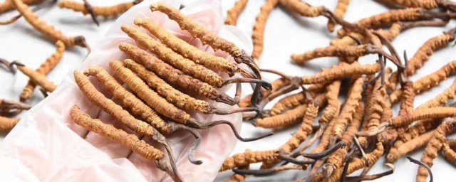 冬虫夏草哪些人不能吃 不能吃冬虫夏草的人群简介