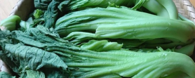 腌芥菜技巧 怎样腌制芥菜