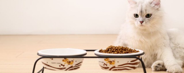 如何做无菌猫食 做猫食的要领