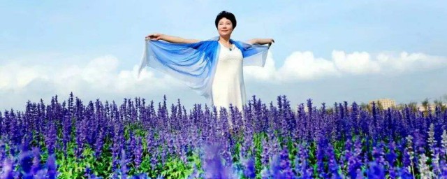 走在花海里的心情句子 走向花海时可想到这些句子