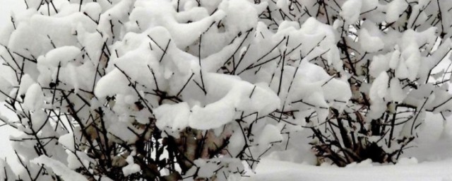 梦见雪是什么意思 梦见雪有什么寓意