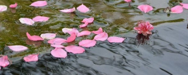 花自飘零水自流的意思 花自飘零水自流的解释