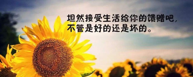 早安心语精辟简短 早安心语精辟简短分享