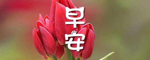 周一正能量早安简短 周一早安心语正能量简短