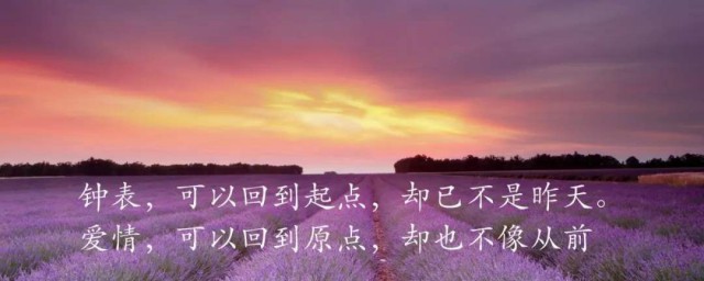 心灵治愈的句子 可以治愈心灵的句子