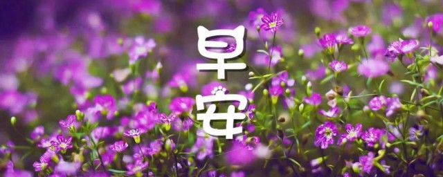 早晨精辟句子 早上好最精辟的句子