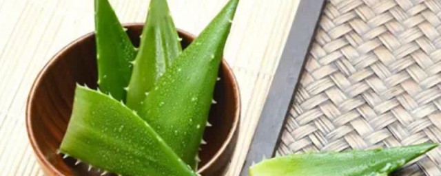 芦荟怎样做面膜 芦荟胶的作用和功效