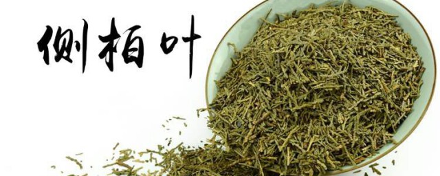 煮侧柏叶的方法 侧柏叶煮水洗头的具体方式是什么