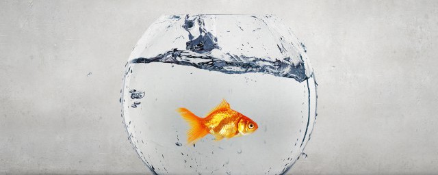 感恩节的感恩句子说说 适合感恩节发的说说