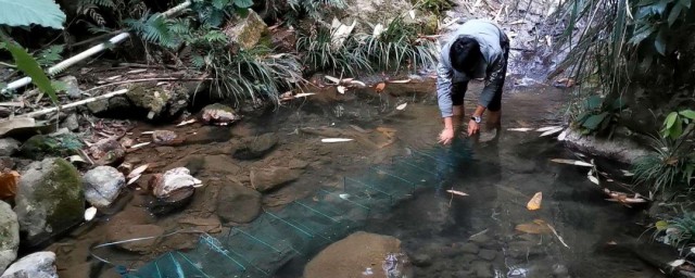 简单做鱼笼的方法 简易鱼笼DIY制作要领