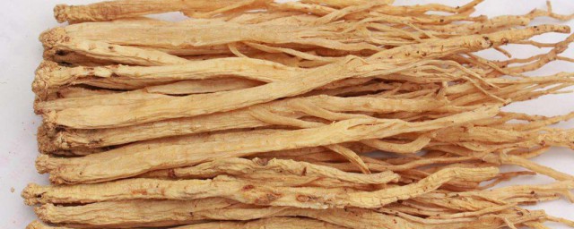 党参最简单的食用要领 党参怎么吃