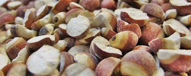 芡实的功效及食用办法 芡实的功效及食用要领有什么