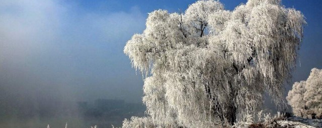 表示很冷又搞笑的句子 表示很冷又搞笑的句子列述