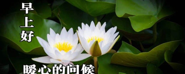 最暖心问候早安方式 暖心早安问候语