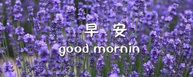 让女动情的早安问候语 让女生动情的早安问候语推荐