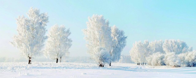 冬天的雪作文 关于冬天的雪作文范文