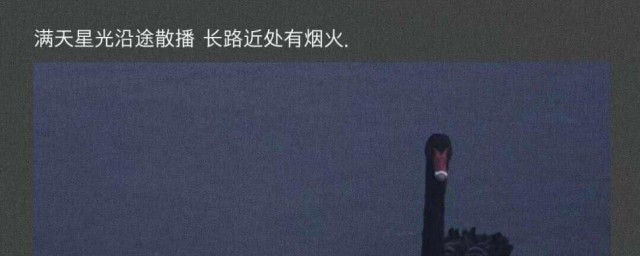 温柔又抑郁的文案 温柔又抑郁的文案有哪些