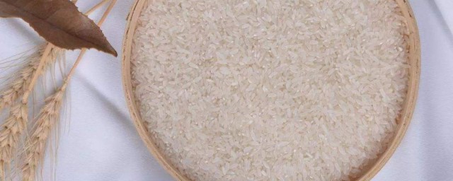大米怎样保存不生虫 大米怎样保存
