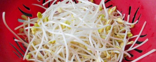 豆芽买多了如何保存 豆芽怎么保存