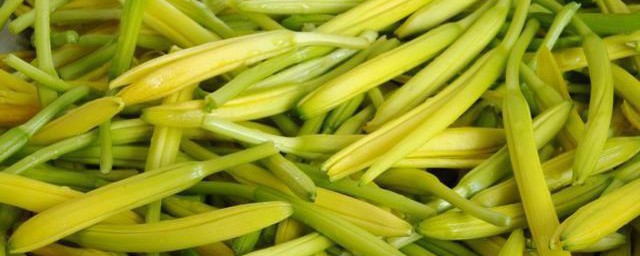黄花菜的食用技巧 黄花菜的用法用量