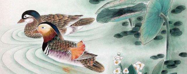 关关雎鸠在河之洲什么意思 关雎原文及翻译