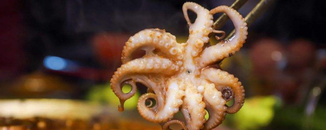 八爪鱼煮多久 八爪鱼简介