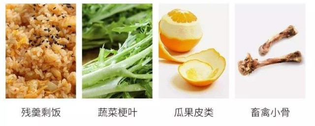 厨余垃圾的处理方法 怎么处理厨余垃圾