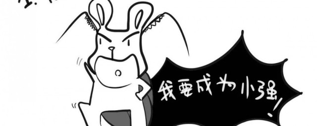 打不死的小强什么意思 打不死的小强什么意思寓意