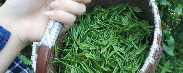 卖茶叶是什么梗 卖茶叶梗的由来