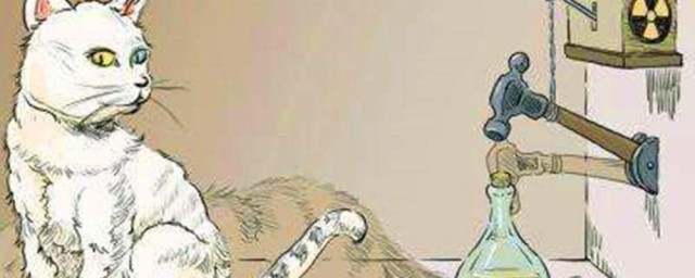 薛定谔的猫什么梗 薛定谔的猫这个梗出自哪里