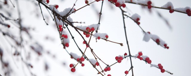 下雪了的幽默句子 怎么表达下雪的心情