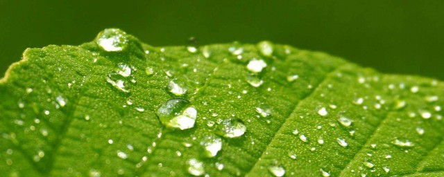 关于雨的句子伤感说说 下雨伤感的句子说说心情短语