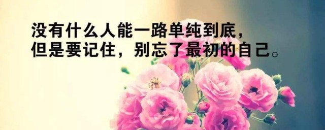 语录大全人生感悟 人生感悟的句子大全