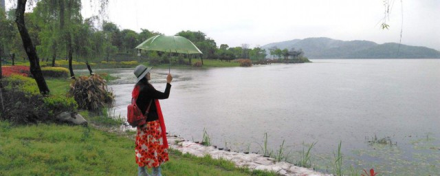 春雨中漫步的唯美句子 春雨中漫步的唯美句子集锦