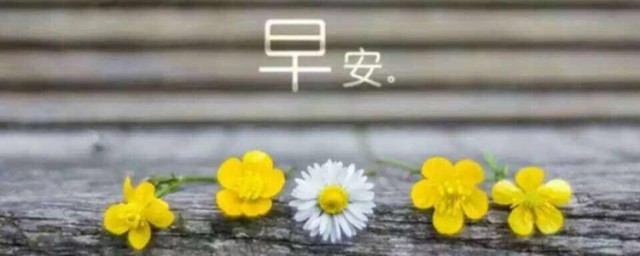 幽默搞怪早安语录 各种早安幽默搞笑说说