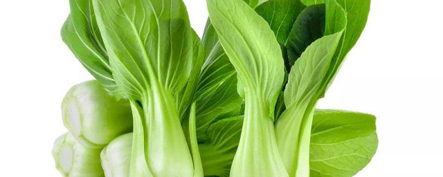 给青菜补充营养的要领 给蔬菜“补营养”关键点一定要抓好