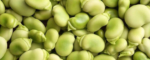 蚕豆酱的制作办法 蚕豆酱的制作方法与步骤