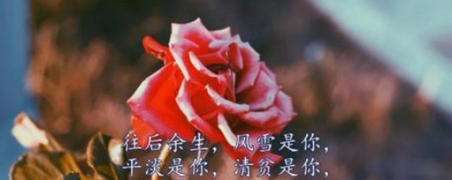 送给情人暖心的话语 暖心的句子集锦