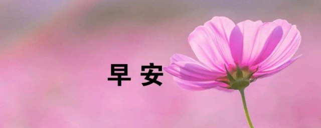发朋友圈的早安语 发朋友圈的早安语有哪些