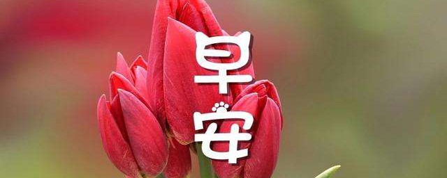 很甜的早安语录 很甜的早安语录句句甜到心窝里