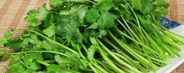 芫荽的功效与作用 芫荽的好处介绍