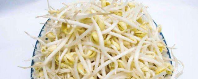 豆芽怎样保存过夜 怎样保存豆芽