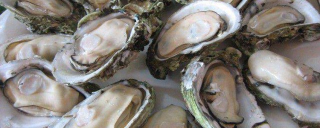 清洗海蛎技巧 怎样快速完整清洗海蛎