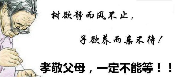 树欲静而风不止子欲养而亲不待是什么意思 树欲静而风不止子欲养而亲不待解释