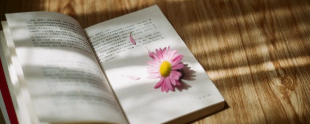 人际关系的句子 形容人际关系的句子