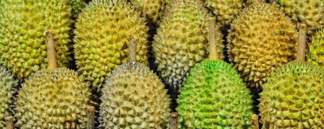 榴莲短期储藏技巧 可以冷冻吗