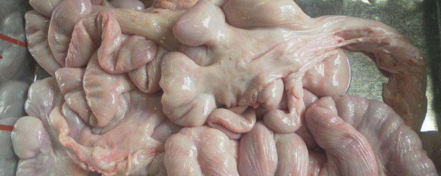 猪生肠腌制办法 猪生肠腌制要领是什么