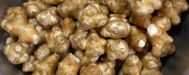 洋姜腌制技巧 洋姜腌制技巧是什么